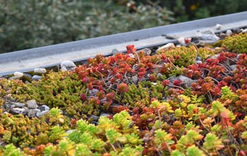 the cost of Eastling green roof installation