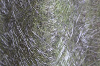 Eastling fibreglass roof work